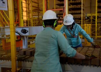 Palestra sobre NR1 orienta empresários de Cotia