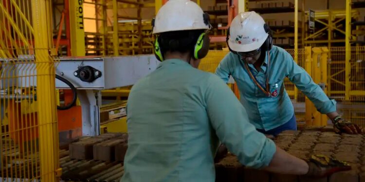 Palestra sobre NR1 orienta empresários de Cotia